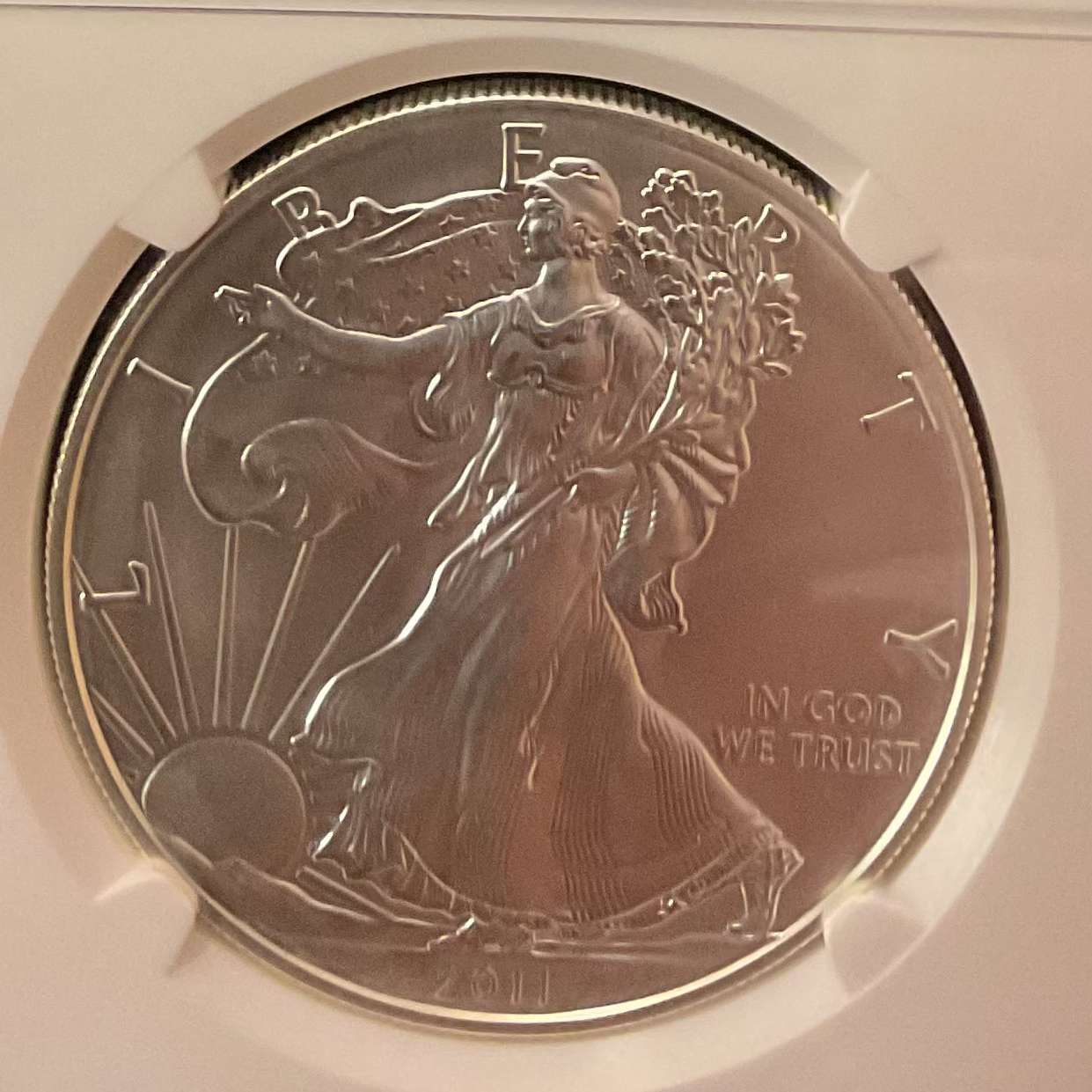 2011 American Silver Eagle Set, Business Strike, NGC MS70 & PF70 Ultra Cam, Store #AE0125