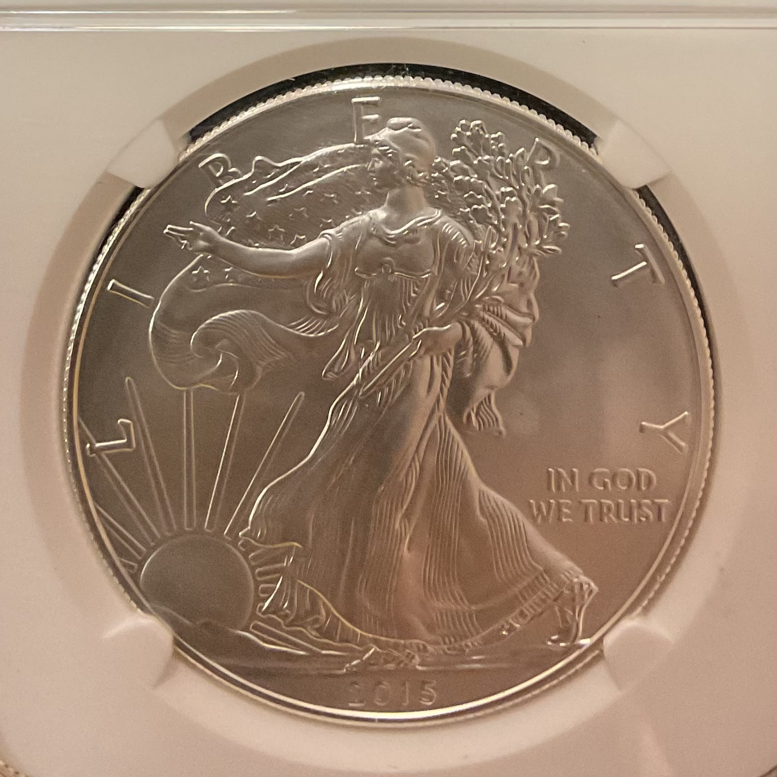 2015-W Burnished American Silver Eagle, NGC MS-70, Store #AE0474