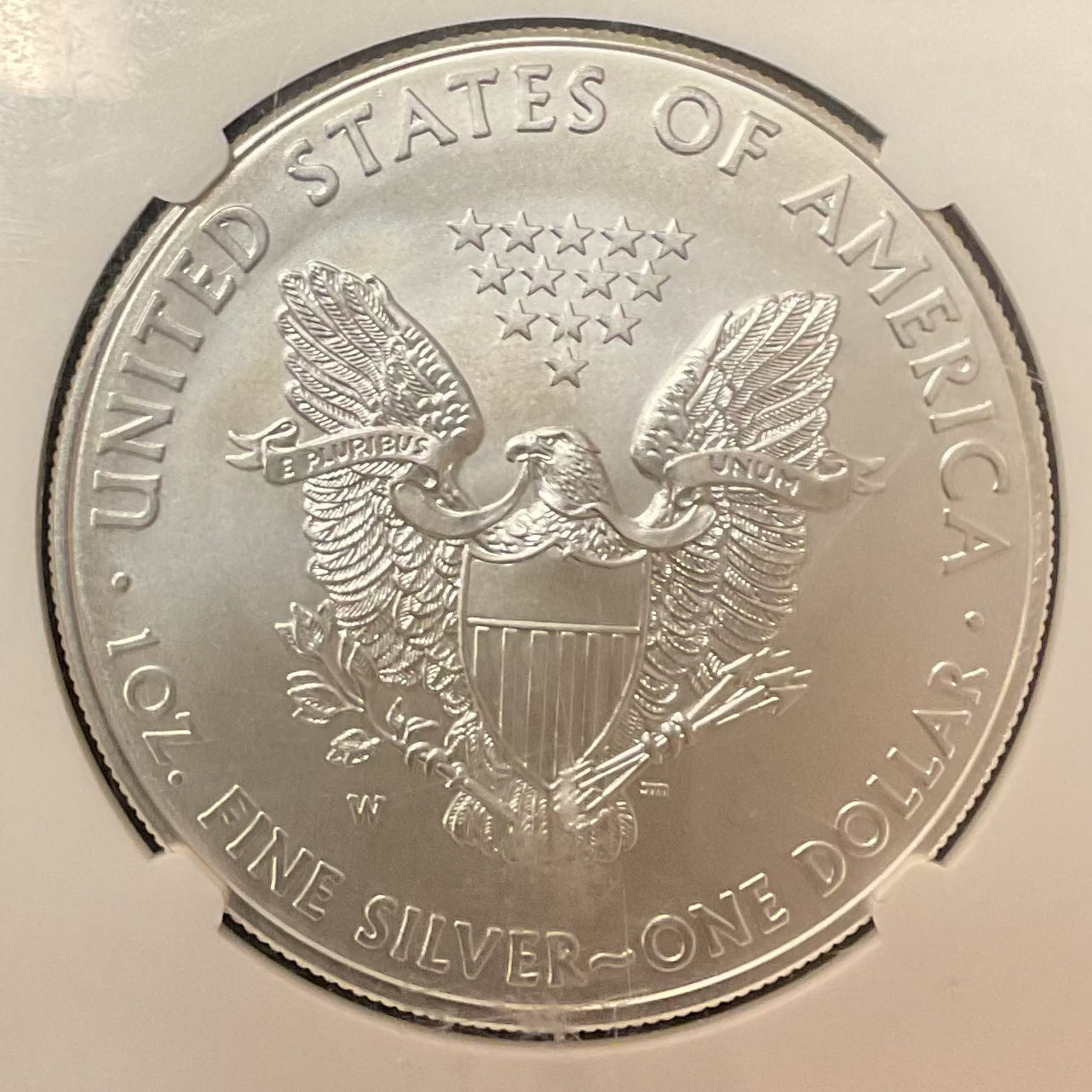 2015-W Burnished American Silver Eagle, NGC MS-70, Store #AE0474