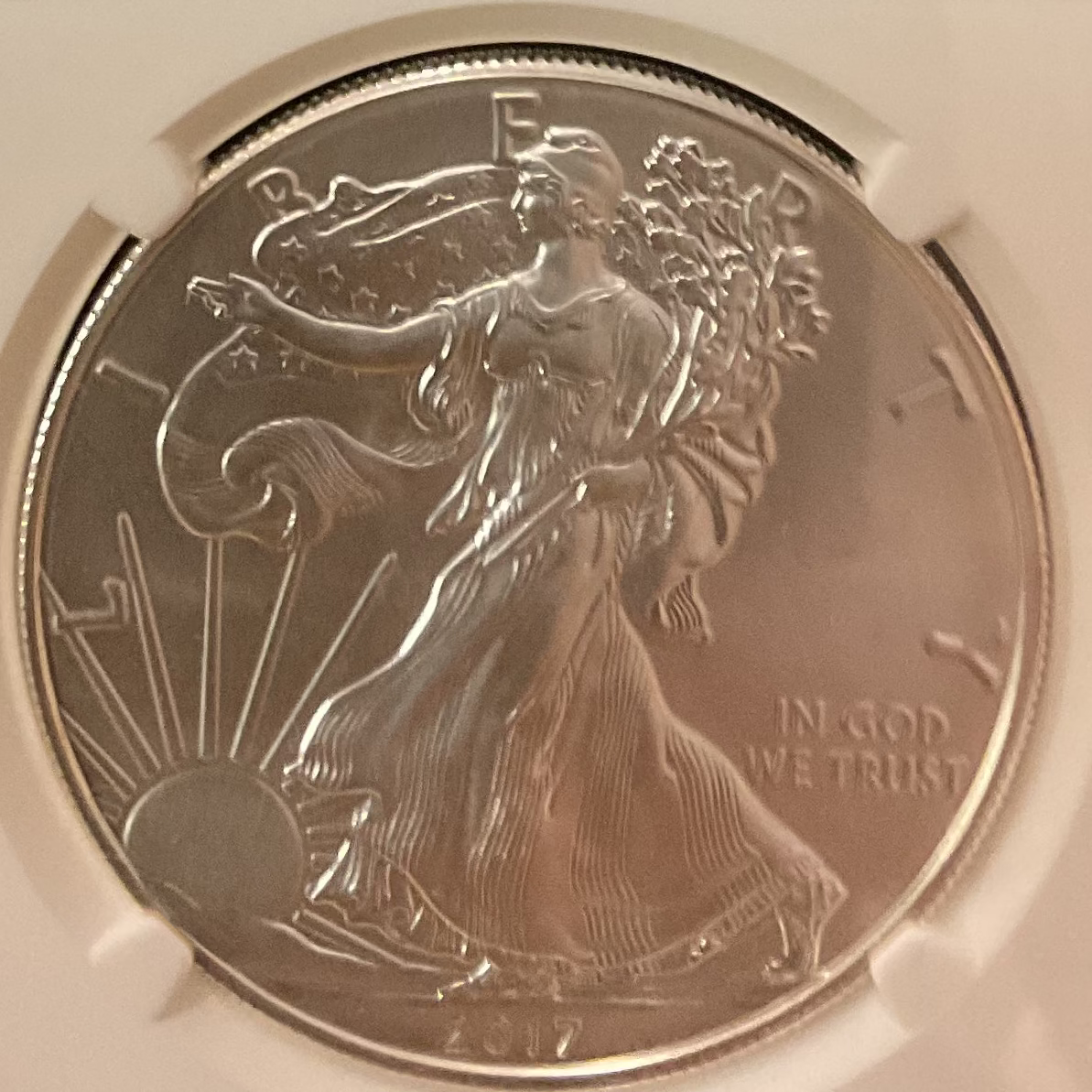2017-W Burnished American Silver Eagle, NGC Graded MS-70, Store #AE0499