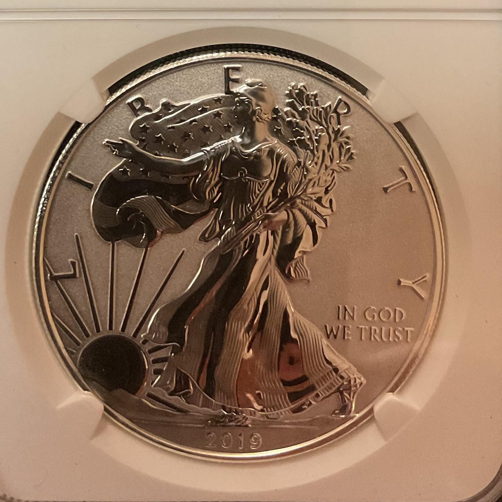 2019 W American Silver Eagle, NGC Enhanced REV PF-70, Store#AE503