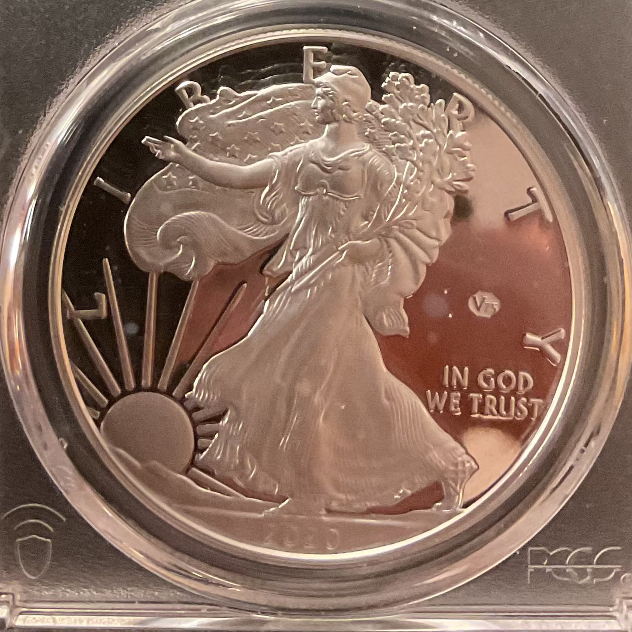 2020-W American Silver Eagle, v75 Privy, PCGS PR-70DCAM, Store#AE0349