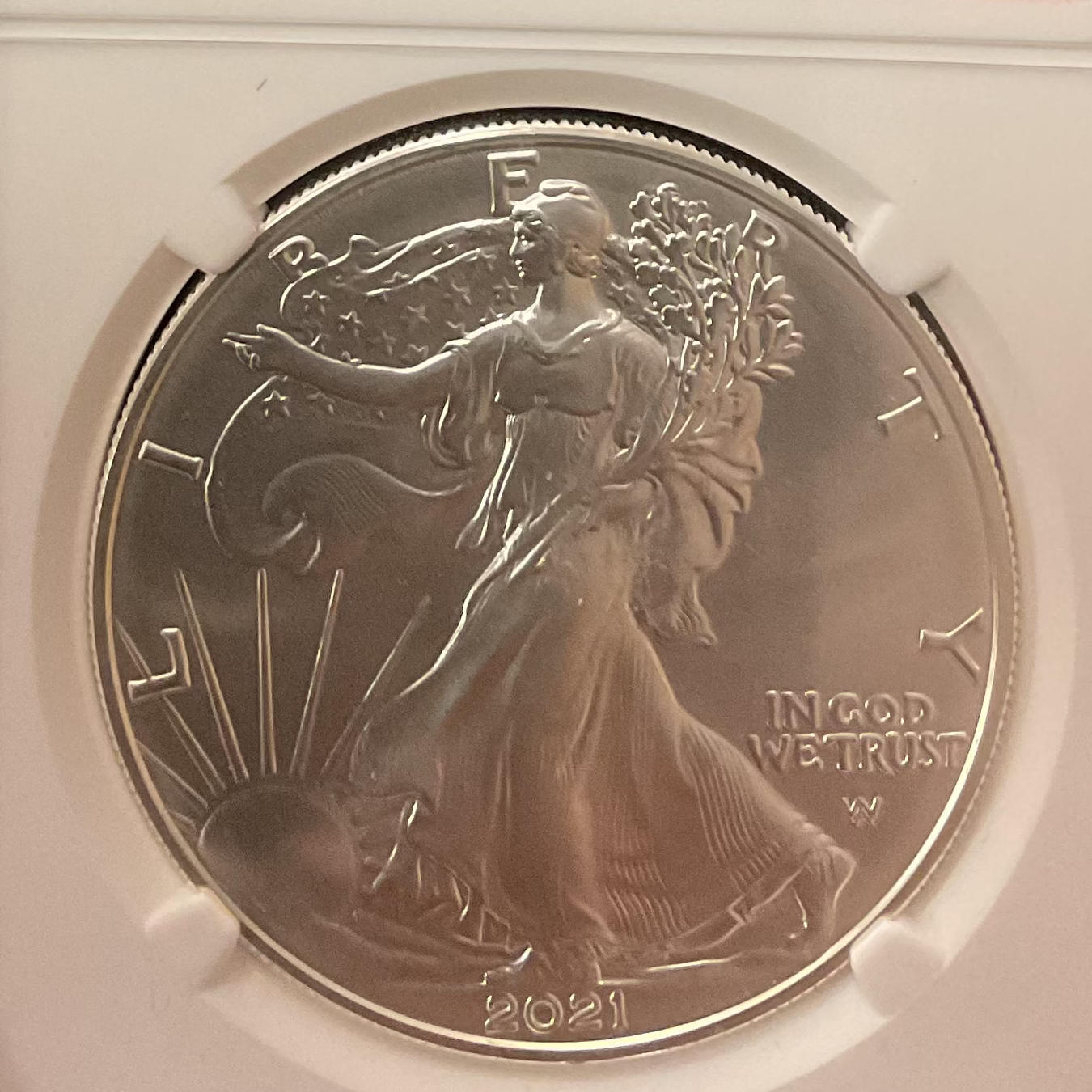 2021(W) American Silver Eagle, NGC MS-70, .999 Silver, 1 Troy Ounce, Store #AE0262