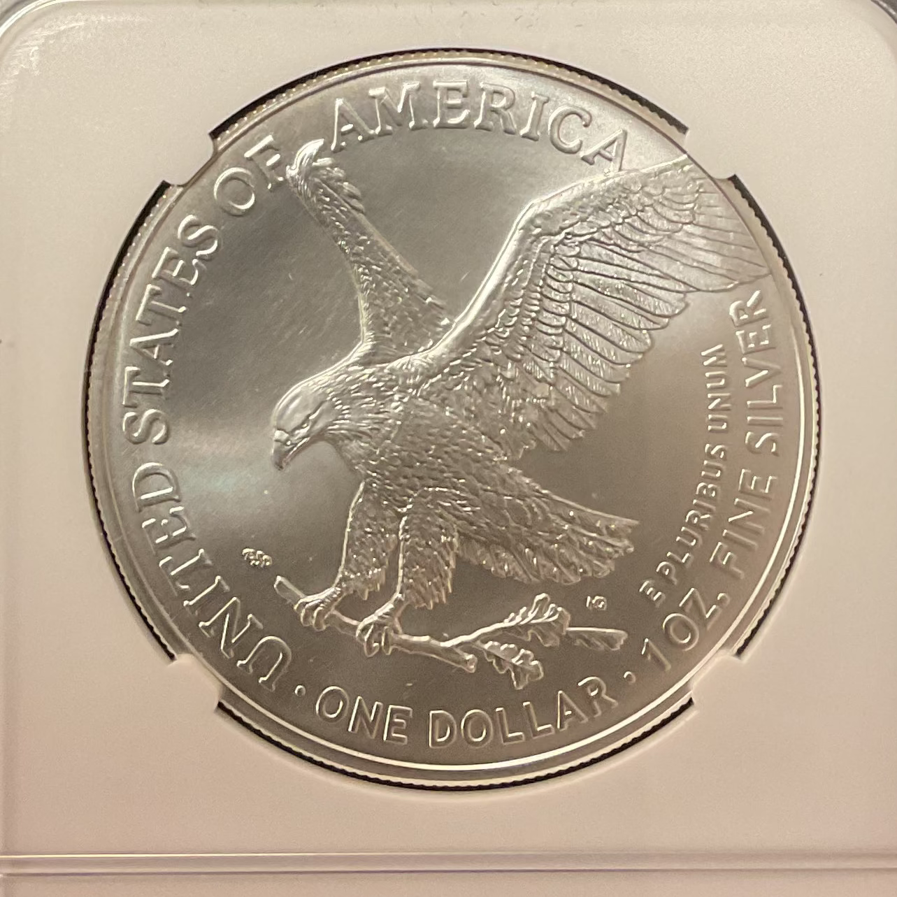 2021(W) American Silver Eagle, NGC MS-70, .999 Silver, 1 Troy Ounce, Store #AE0262