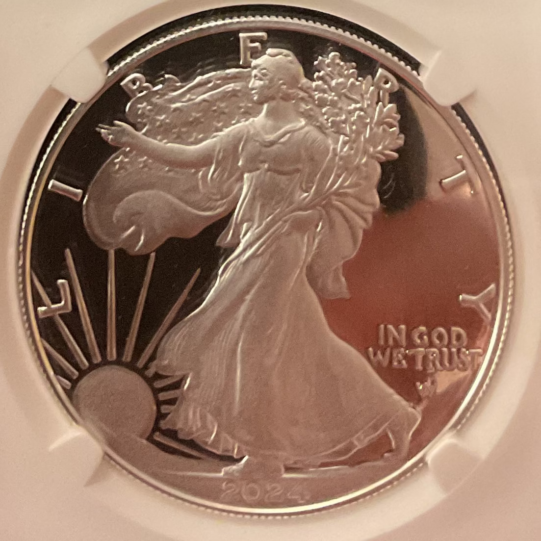 2024-W Proof American Silver Eagle, NGC Grading PF-70 Ultra Cameo, Store #AE0527