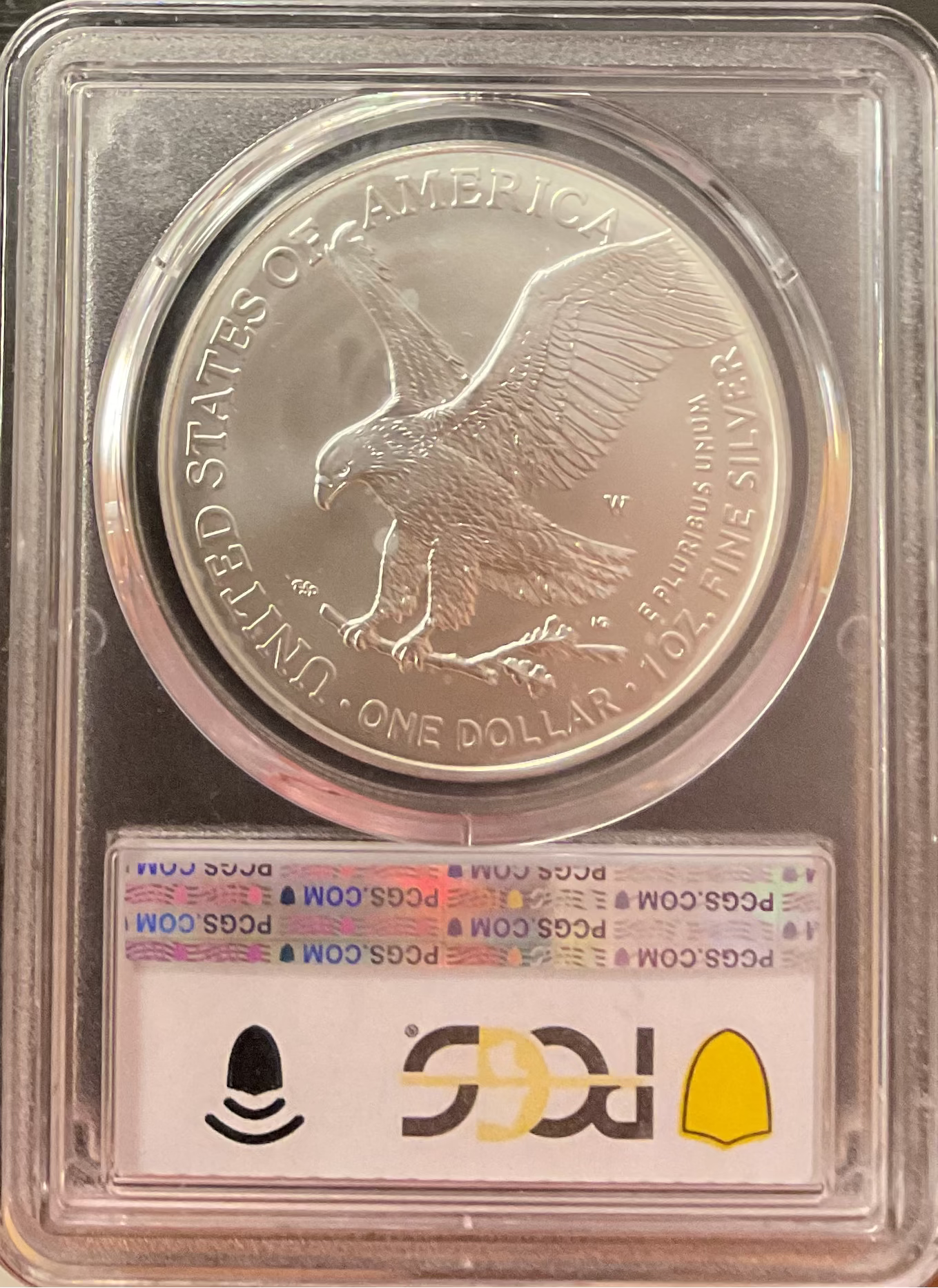 2024-W Burnished American Silver Eagle, PCGS SP-70DCAM, Store #AE0530