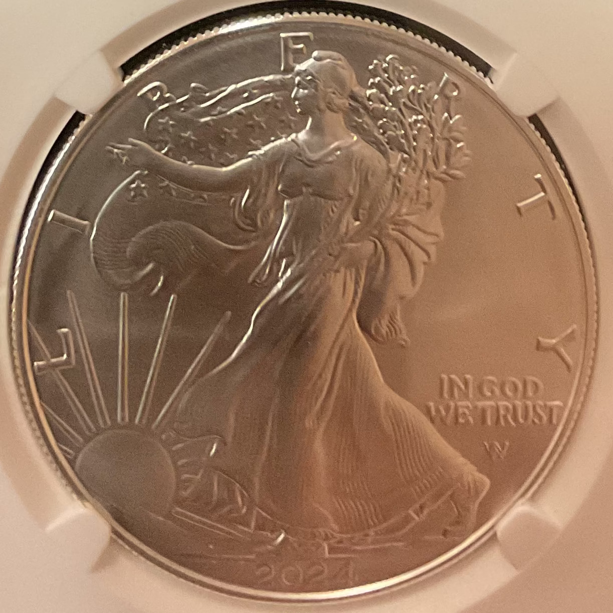 2024-W Burnished American Silver Eagle, NGC M-69 Store #AE0531