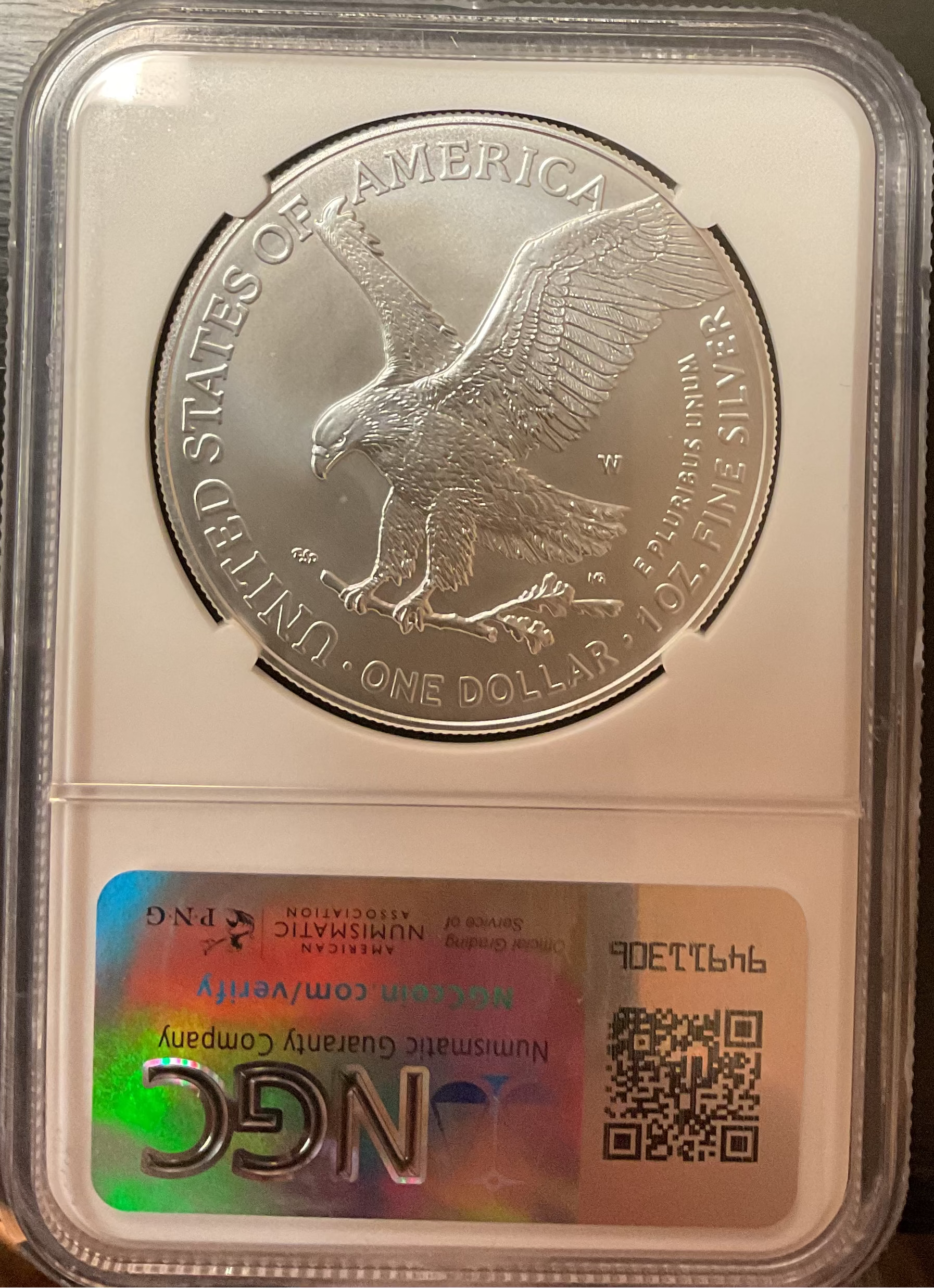 2024-W Burnished American Silver Eagle, NGC M-69 Store #AE0531