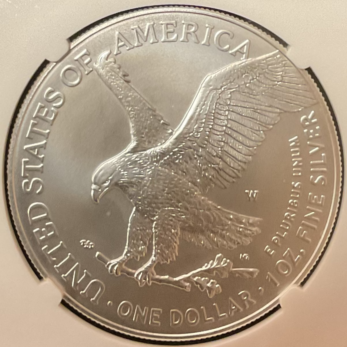 2024-W Burnished American Silver Eagle, NGC M-69 Store #AE0531