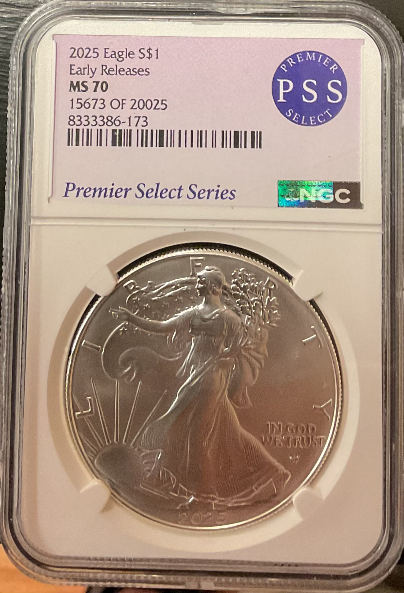 2025 American Silver Eagle, Early Release, NGC MS-70, Store #AE0533