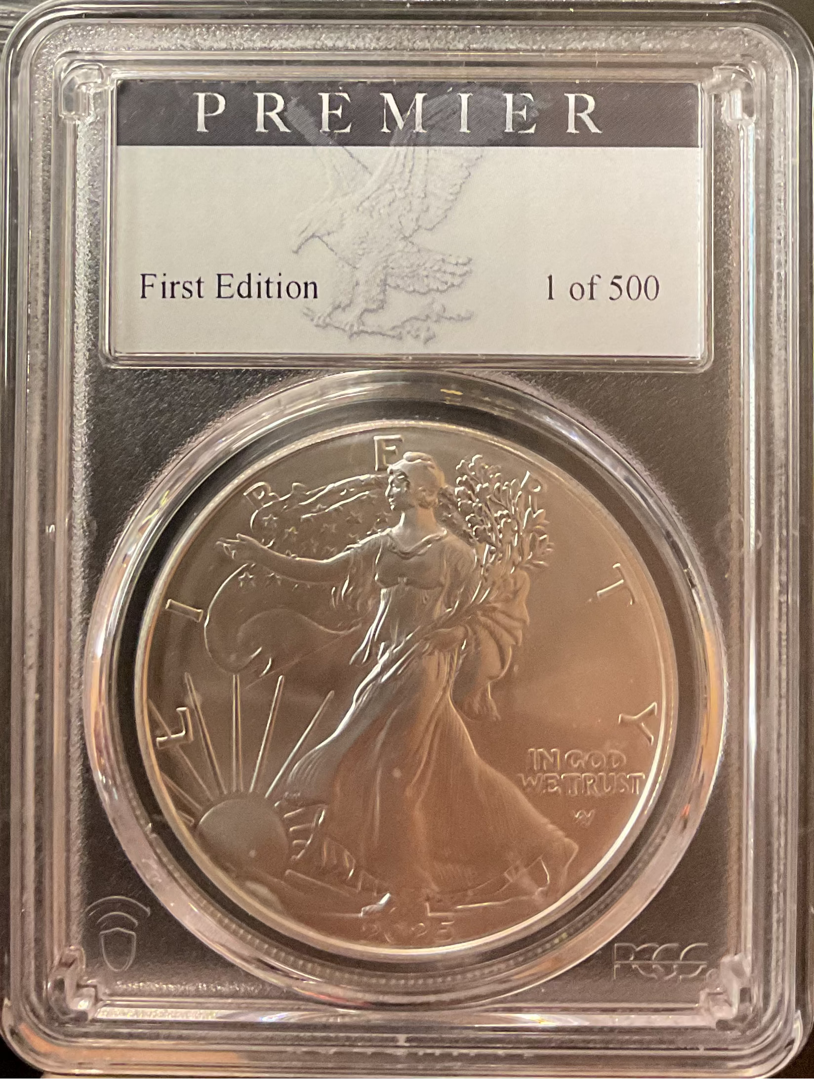 2025 W Burnished American Silver Eagle, PCGS SP-70, Store #AE0535