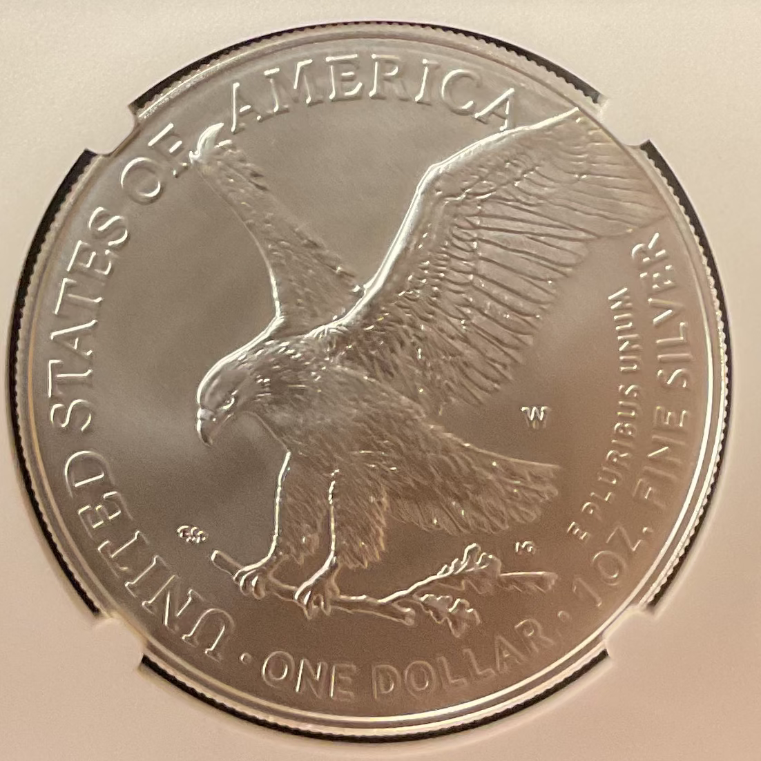 2025 W Burnished American Silver Eagle, NGC MS-70, Store #AE0193