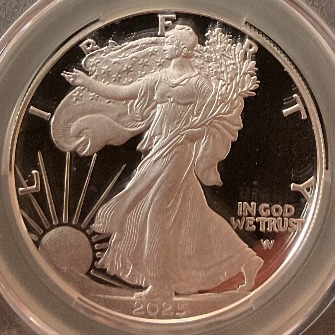 2025 W Proof American Silver Eagle, CAC PR-70 DCAM, Store #AE0140