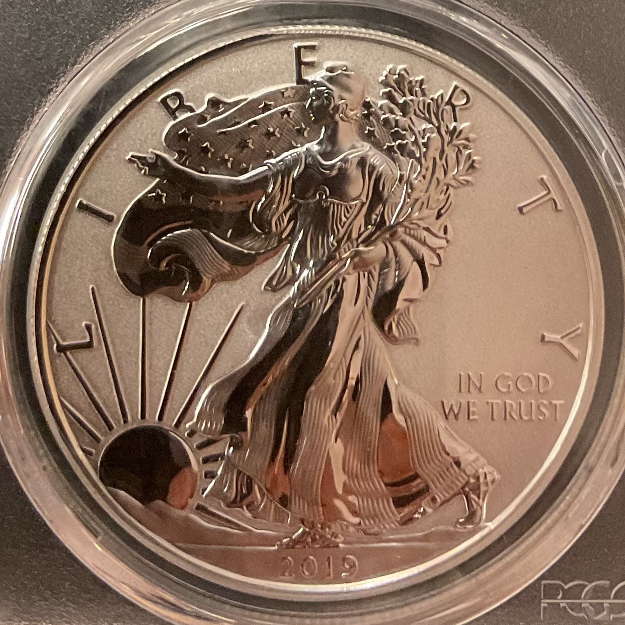 2019 W American Silver Eagle, NGC PF-69 Rev PR, RCM Limited Release, Store #AE0343