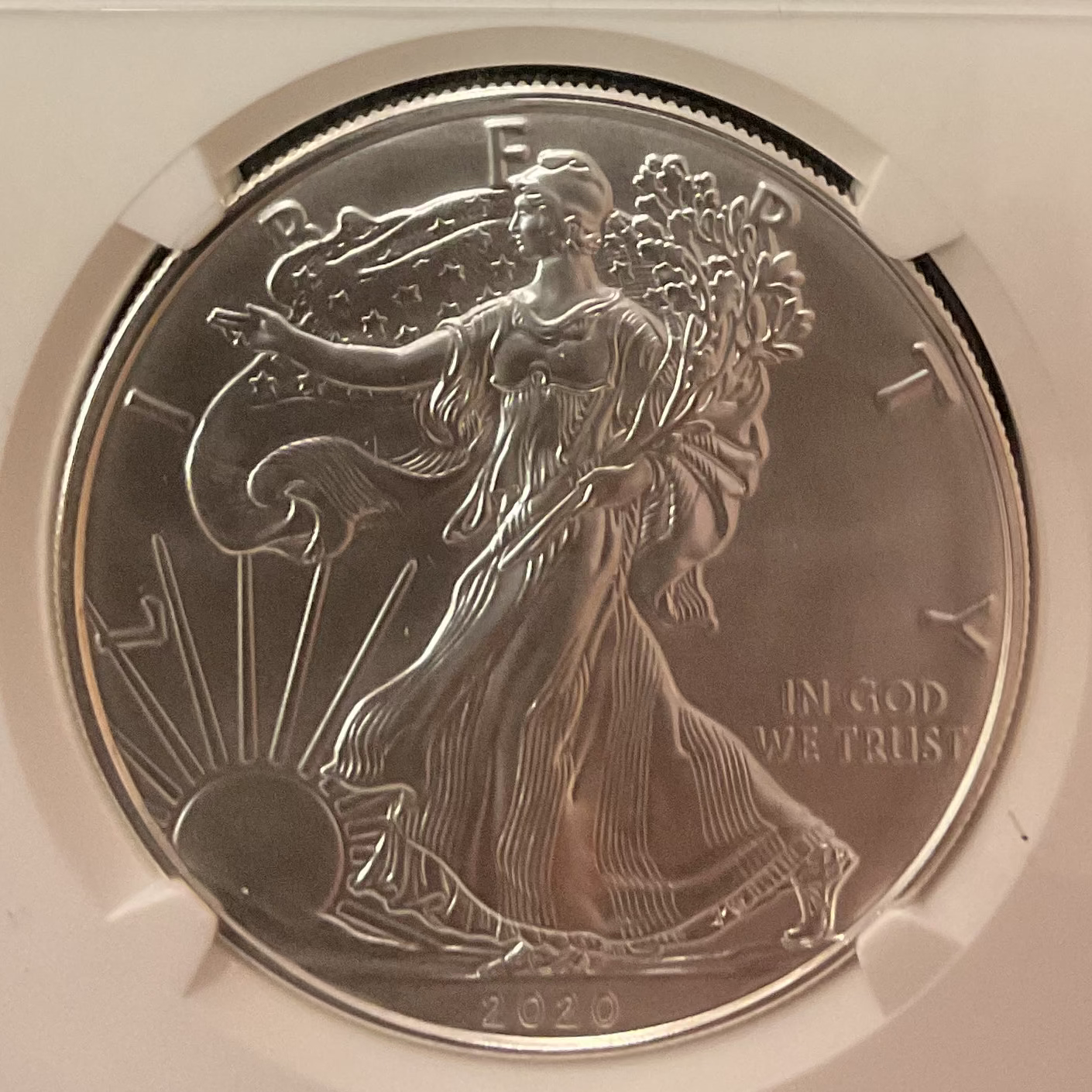 2020 American Silver Eagle, NGC MS-70, Store#AE0350