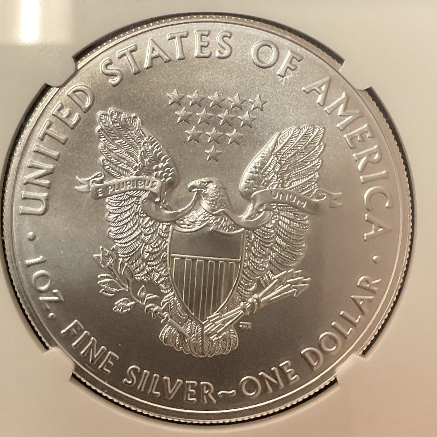 2020 American Silver Eagle, NGC MS-70, Store#AE0350