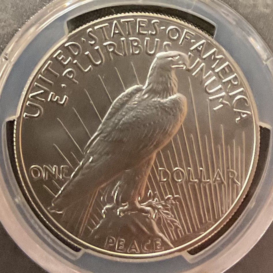 2021 Peace Dollar Commemorative, 100th Anniversary, PCGS MS-69, Store #GMC228