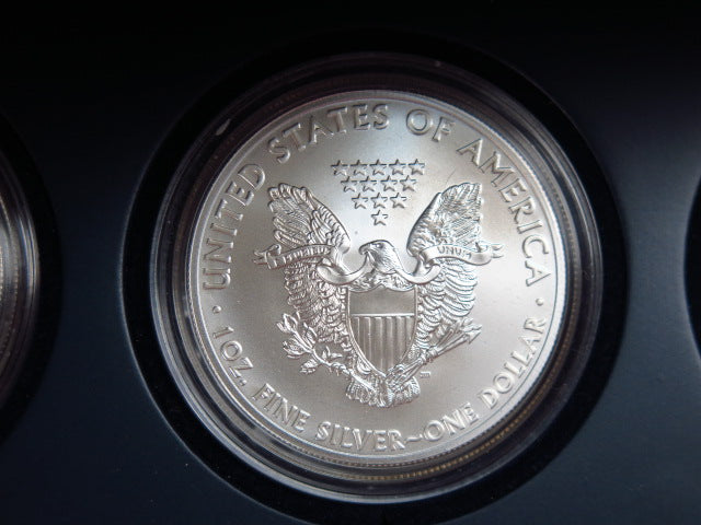 2011-P, S, and W Five American Eagle Proof Set, 25th Anniversary, Original Government Package, Store #12481