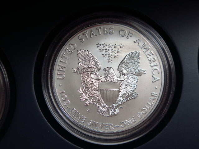 2011-P, S, and W Five American Eagle Proof Set, 25th Anniversary, Original Government Package, Store #12481