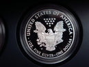 2011-P, S, and W Five American Eagle Proof Set, 25th Anniversary, Original Government Package, Store