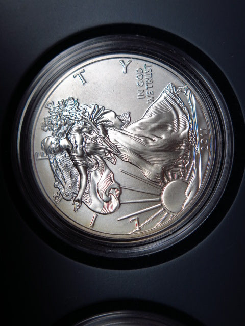 2011-P, S, and W Five American Eagle Proof Set, 25th Anniversary, Original Government Package, Store #12481