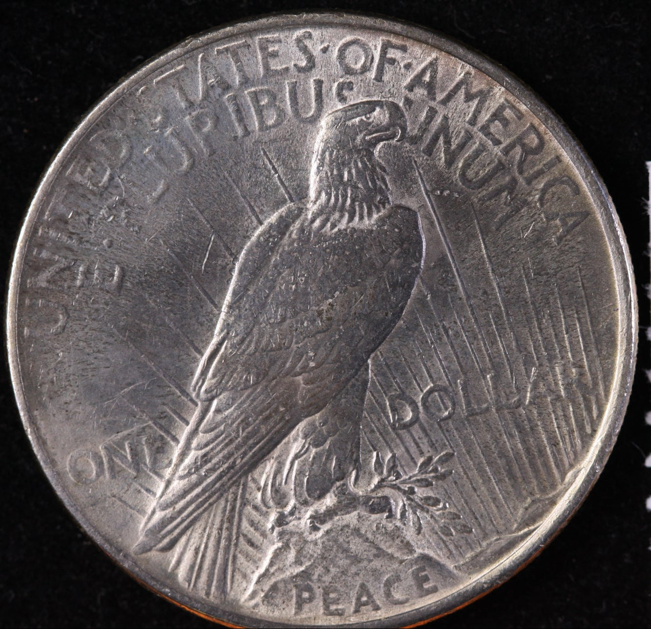 1924 Peace Silver Dollar, Nice Uncirculated Collectible Coin, Store #DR0773