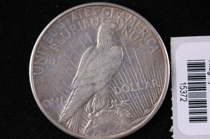 1935 Peace Silver Dollar, Affordable Collectible Coin, Store