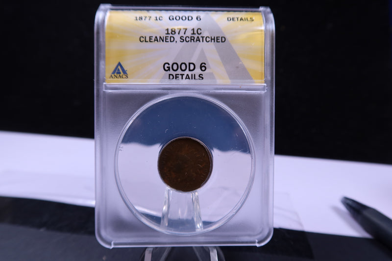 1877 Indian Head Cents, ANACS Good-6, Store Sale 1914338.