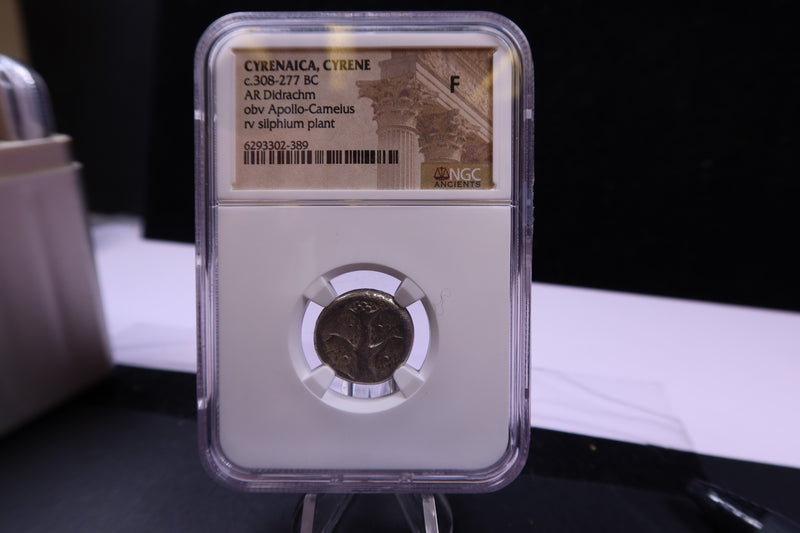 Cyrenaica, Cyrene, 308-277 BC, Apollo-Cameius,  NGC Certified F. Store