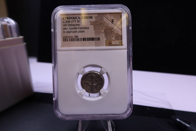 Cyrenaica, Cyrene, 308-277 BC, Apollo-Cameius,  NGC Certified F. Store