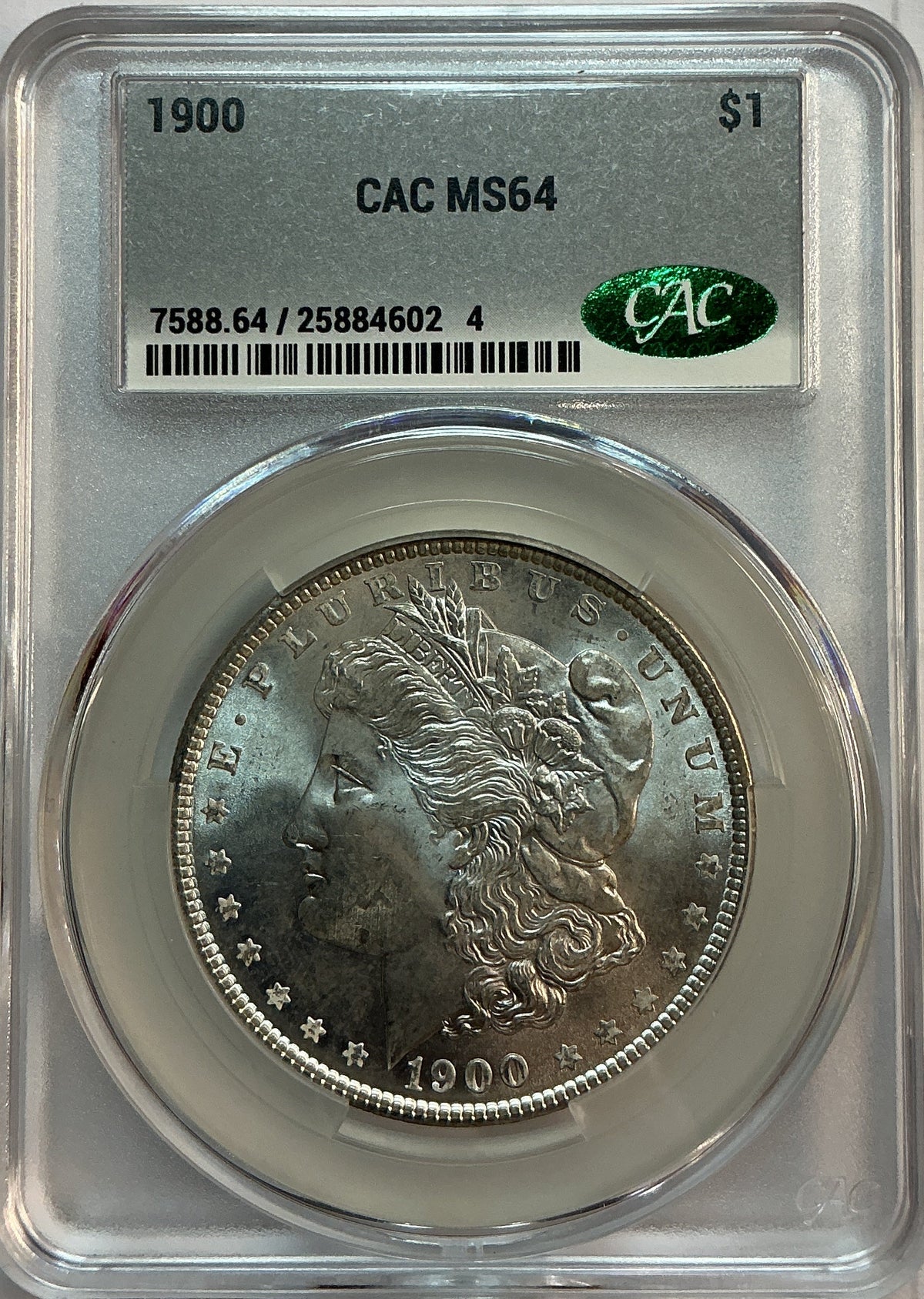 1900 Morgan Silver Dollar, CAC Certified MS-64, Store Sale #GDR094