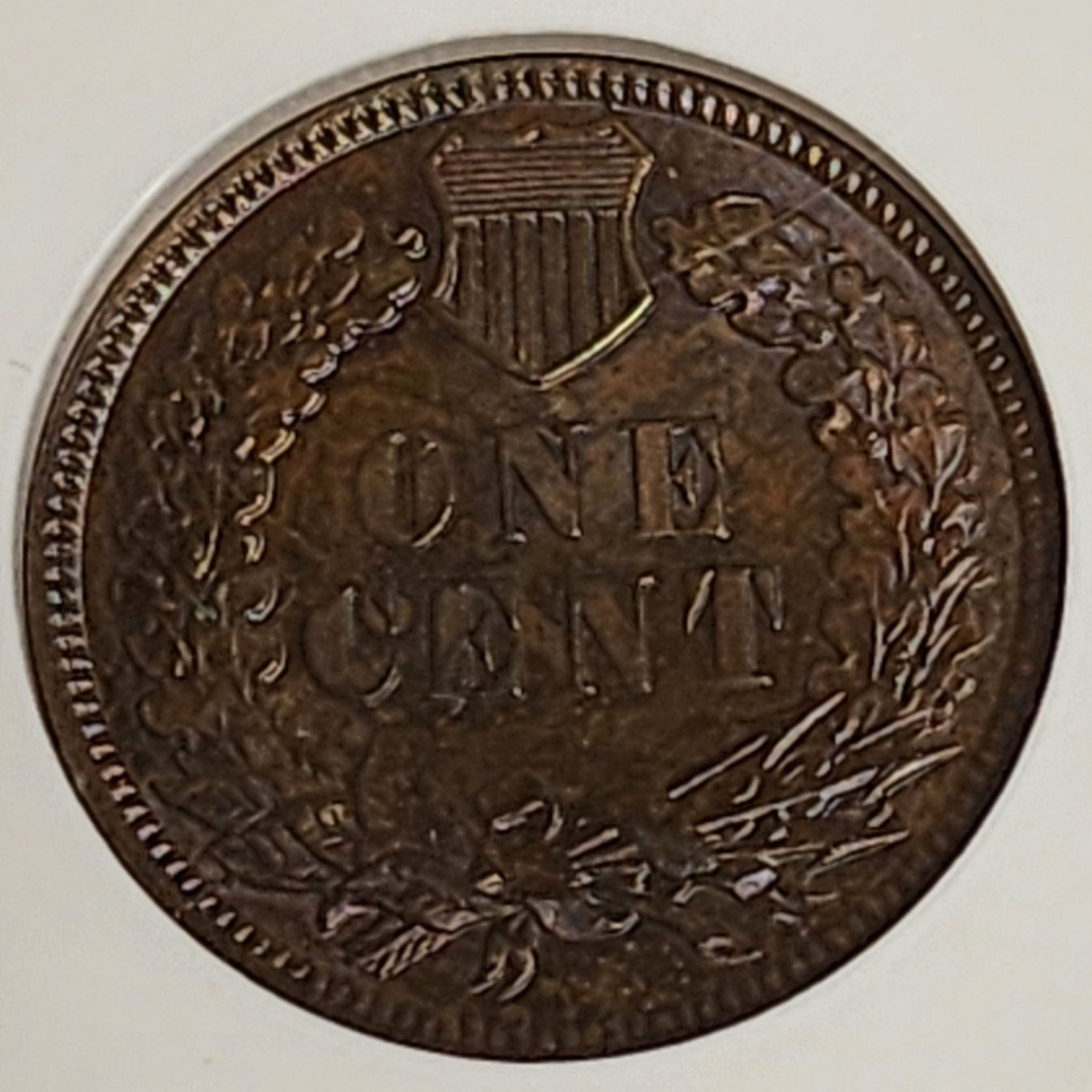 1886 Indian Cent, NGC MS 65 BN, Store #GCT033