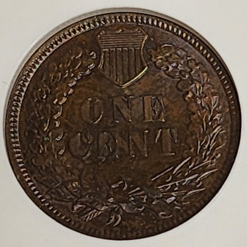 1886 Indian Cent, NGC MS 65 BN, Store
