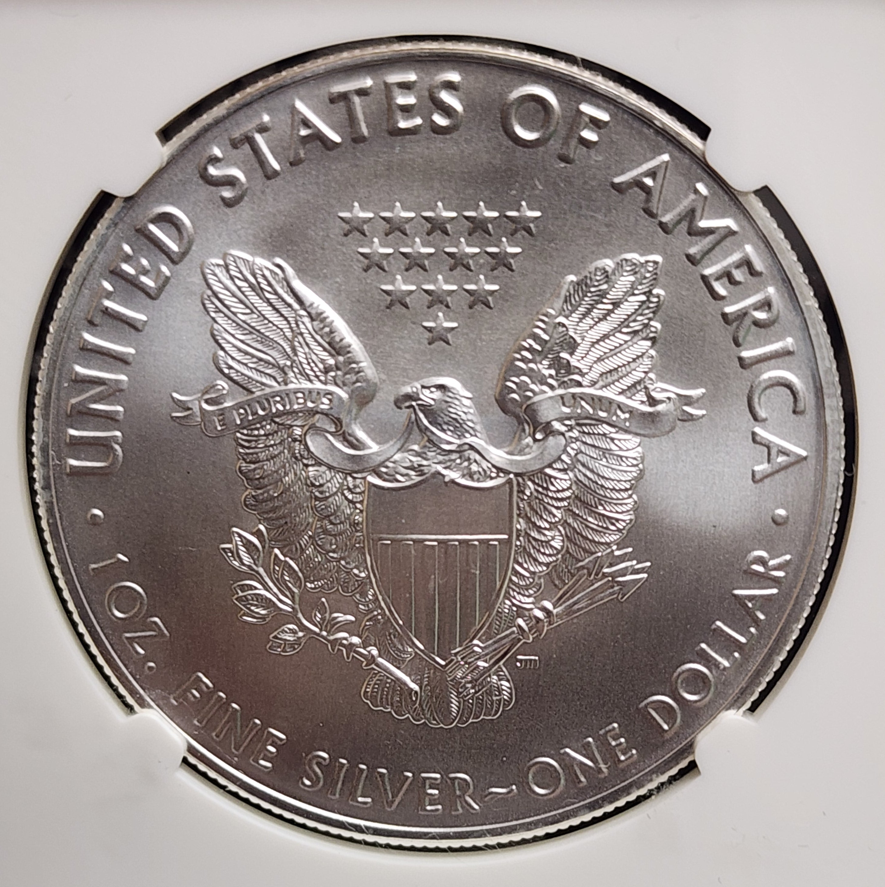 2019 American Silver Eagle, NGC MS 70, Store #AE0237