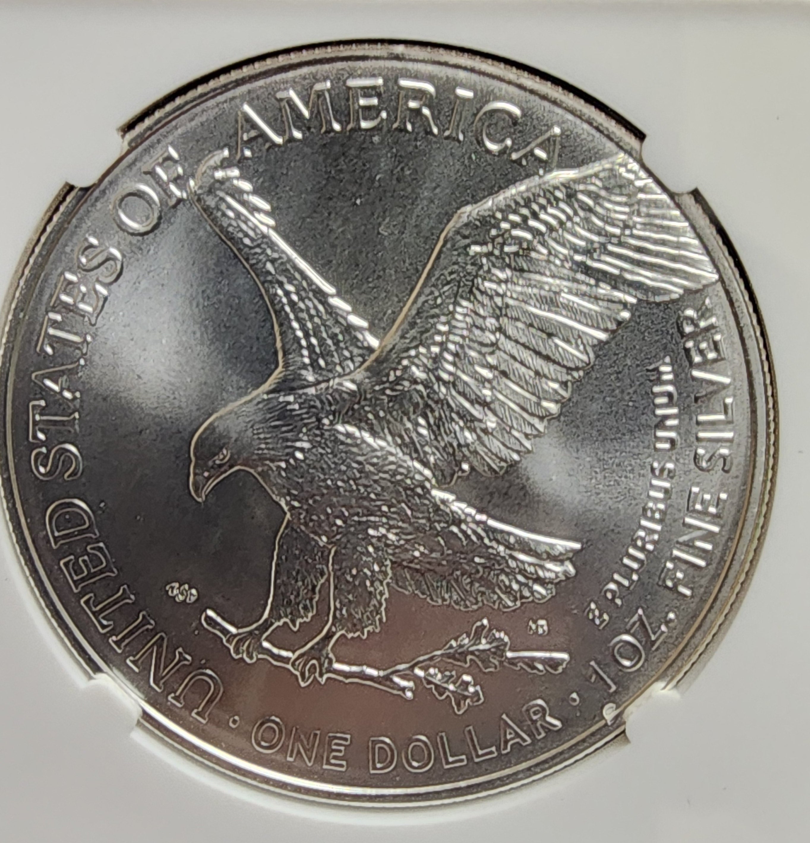 2021 Type 2 American Silver Eagle, NGC MS 70, Store #AE0239