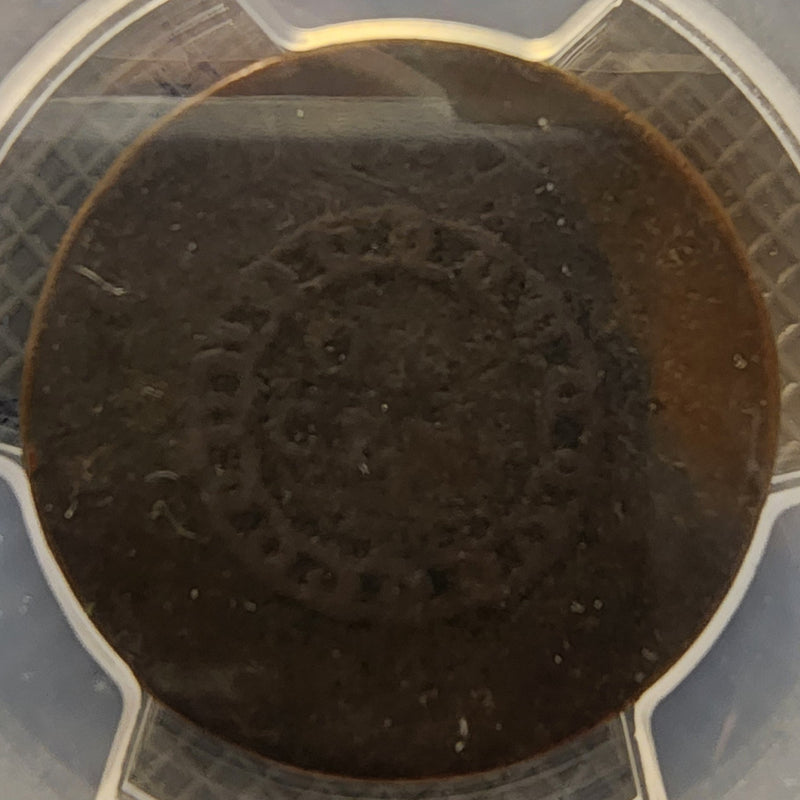 1793 Chain Set - Chain, Periods, PCGS Genuine Poor details Store