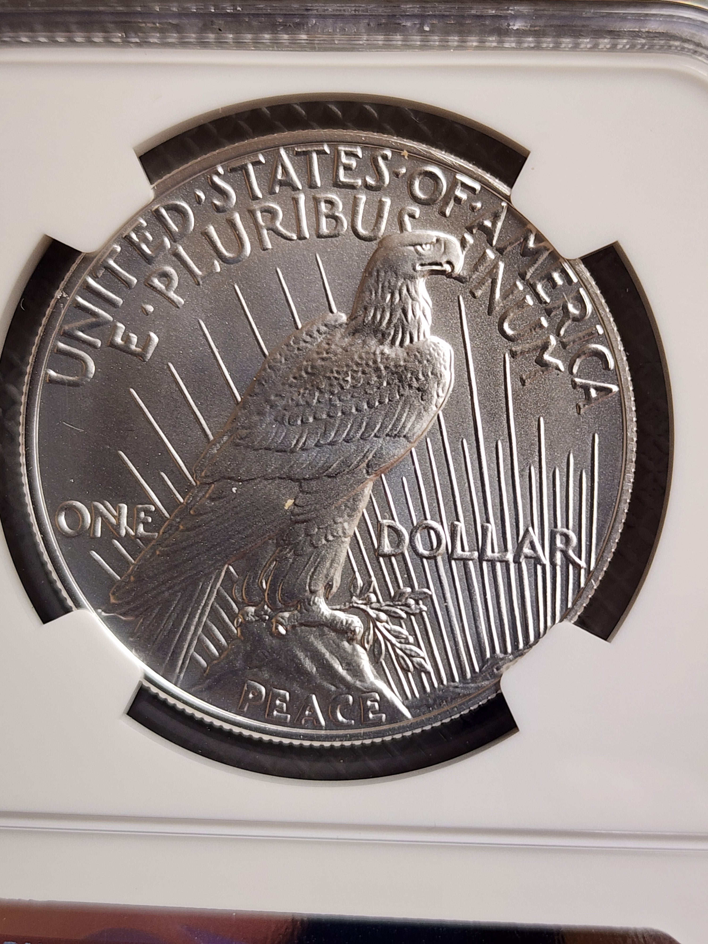 2023 $1 Peace Silver dollar Commemorative, NGC MS 70, Store #GMC343