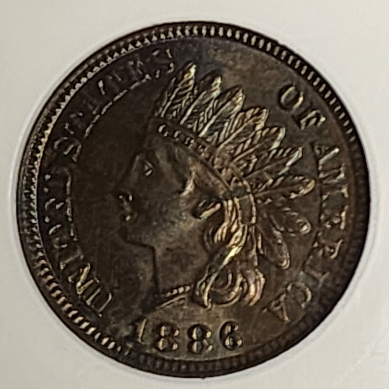 1886 Indian Cent, NGC MS 65 BN, Store