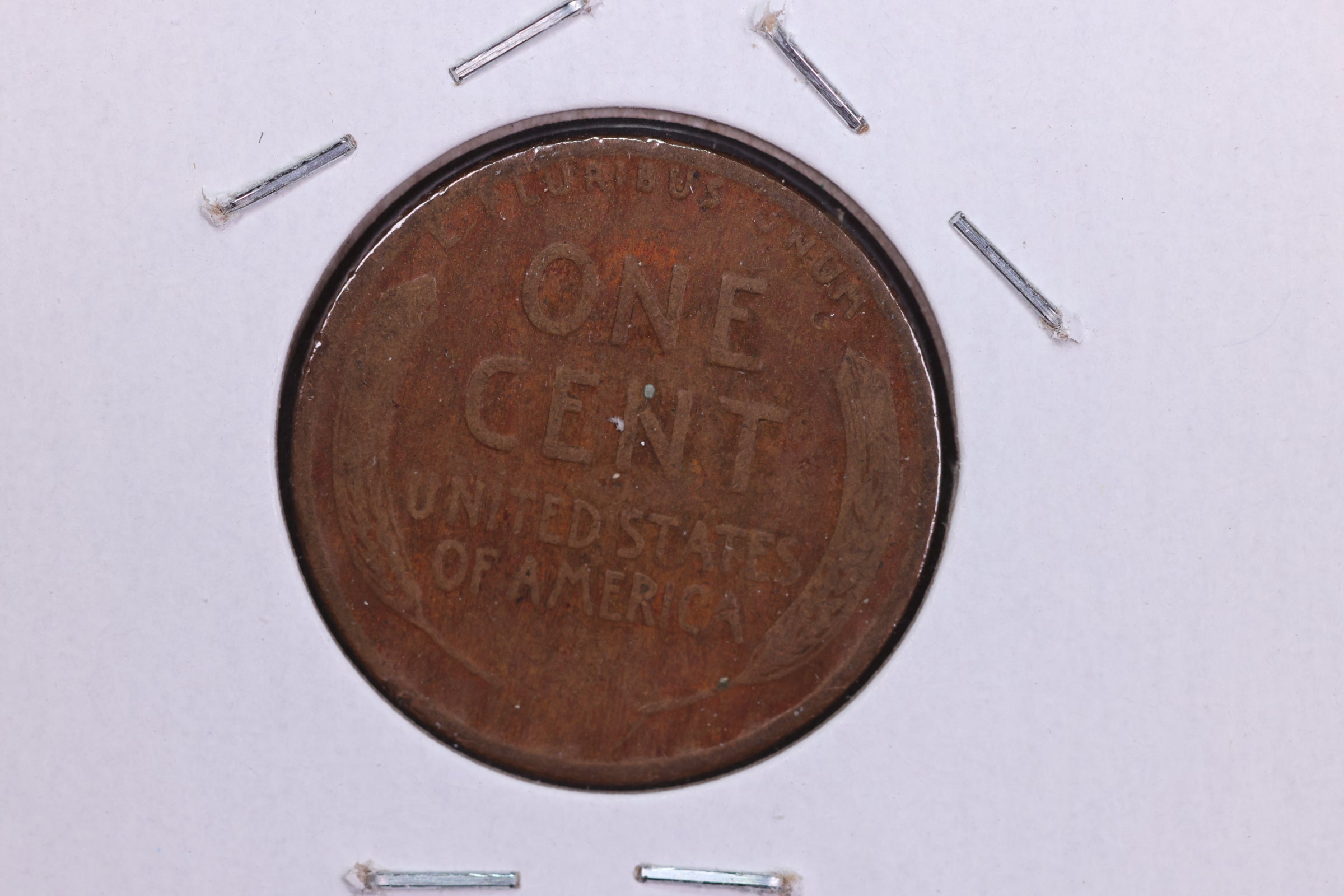 1919 Lincoln Wheat Small Cent.  Affordable Collectible Coin. Store # 11731