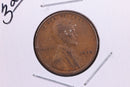 1928-D Lincoln Wheat Small Cent.  Affordable Collectible Coin. Store