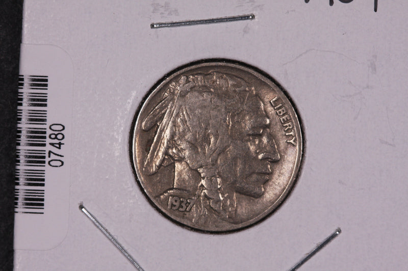 1937 Buffalo Nickel, Average Circulated Coin.  Store
