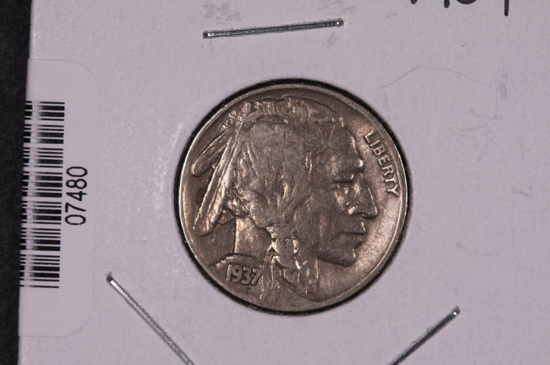 1937 Buffalo Nickel, Average Circulated Coin.  Store