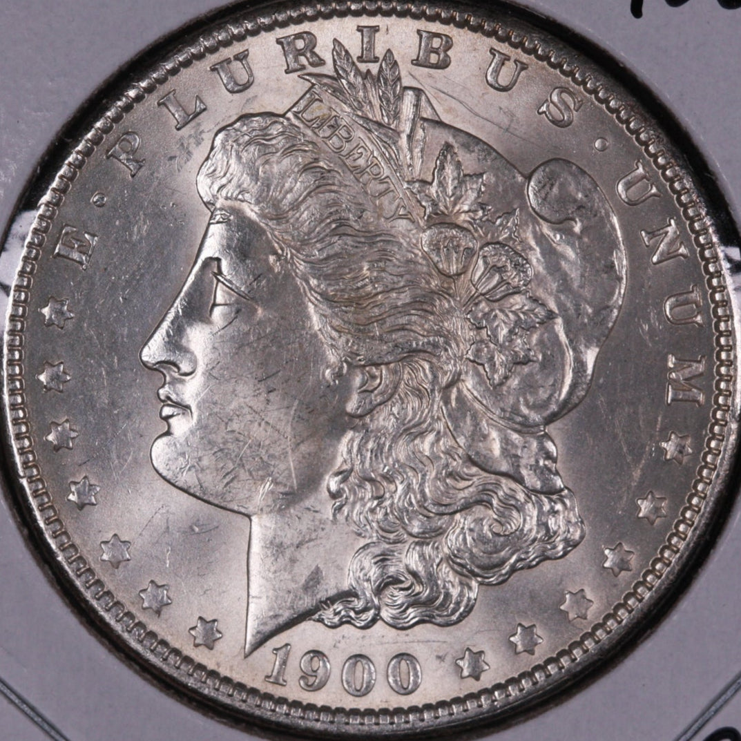 1900 Morgan Dollar, Mint State Uncirculated Coin, Store #DR0396