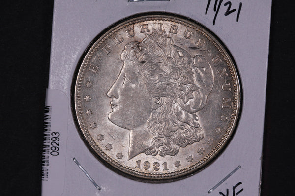 1921 Morgan Silver Dollar, Affordable Collectible Coin, Store #09293