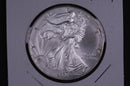 2004 American Silver Eagle.