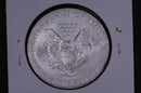 2013 American Silver Eagle.