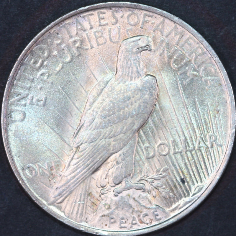 1923 Peace Silver Dollar, Mint State Uncirculated Coin, Store
