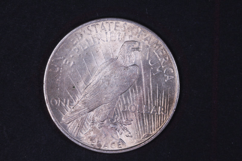 1925 Peace Silver Dollar, Affordable Collectible Coin, Store