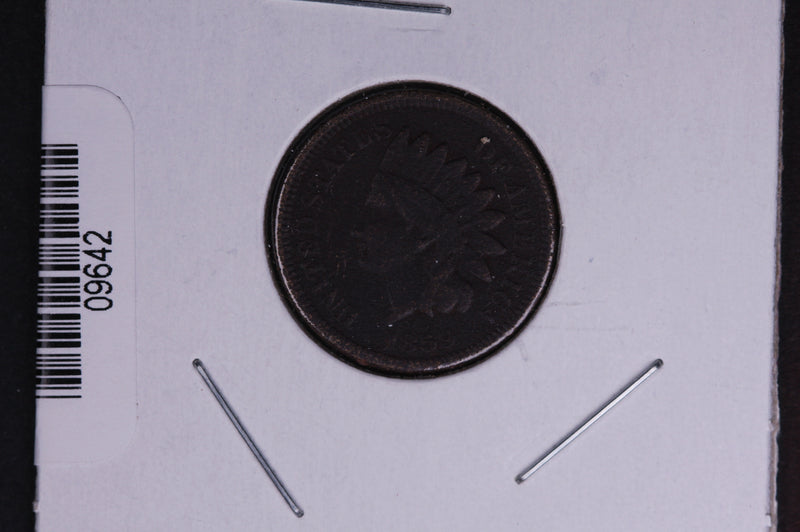 1859 Indian Head Small Cent.  Affordable Collectible Coin. Store