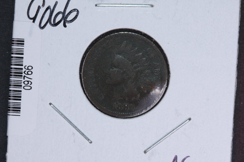 1880 Indian Head Small Cent.  Affordable Collectible Coin. Store